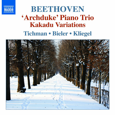 PIANO TRIOS 5/ NINA TICHMAN, IDA BIELER, MARIA KLIEGEL