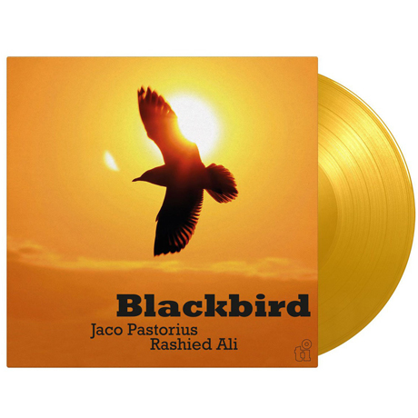 BLACKBIRD [180G YELLOW LP]