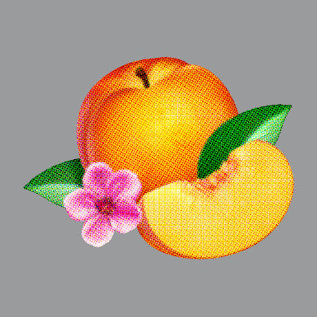 BANKRUPT! [딜럭스 에디션]