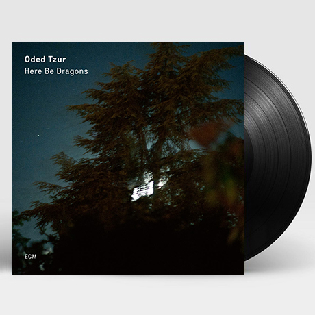 HERE BE DRAGONS [180G LP]