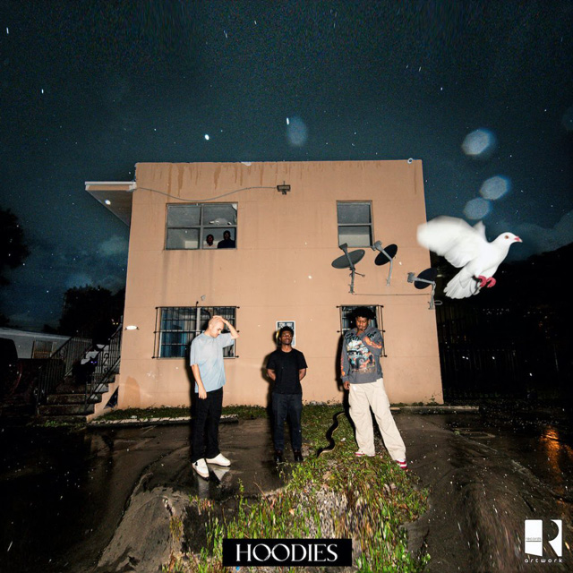 HOODIES [LP]