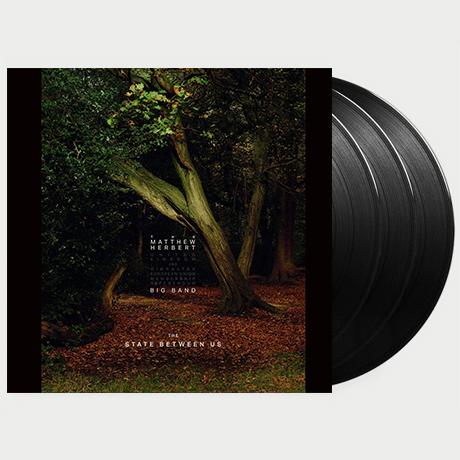 THE STATE BETWEEN US [LP]