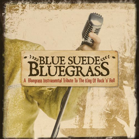 BLUE SUEDE BLUEGRASS