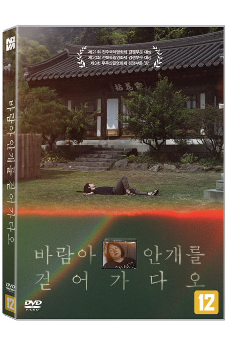 바람아 안개를 걷어가다오