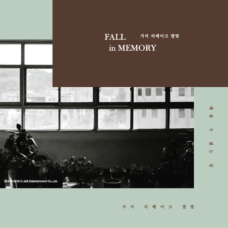 FALL IN MEMORY [리메이크 앨범]