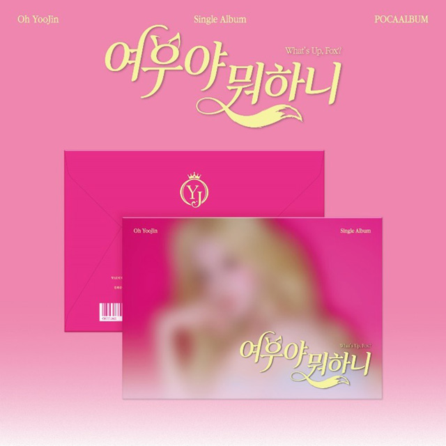 여우야 뭐하니