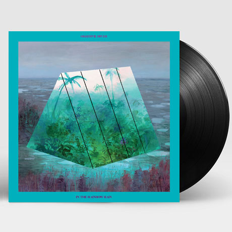 IN THE RAINBOW RAIN [LP]