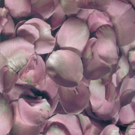 DIFFERANCE [차연: 差延]