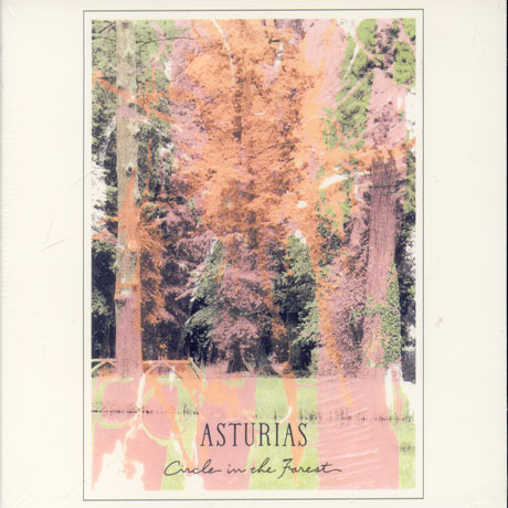 CIRCLE IN THE FOREST