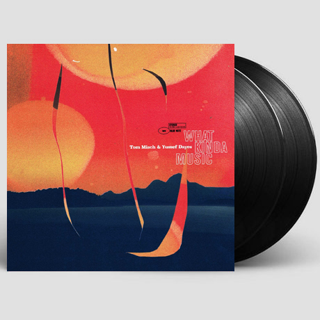 WHAT KINDA MUSIC [LP]