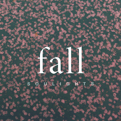 FALL [미니 3집]
