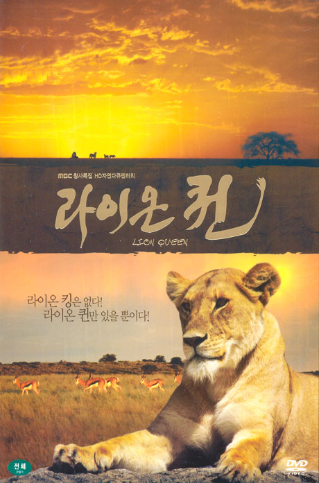 라이온 퀸: 일반판 [MBC 창사특집 HD자연다큐멘터리]
