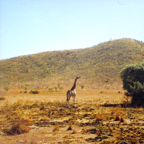 우리는 선처럼 가만히 누워