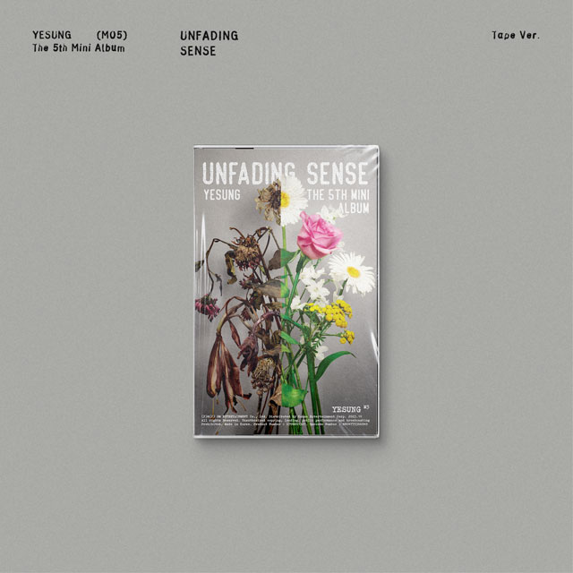 UNFADING SENSE [미니 5집] [TAPE VER]