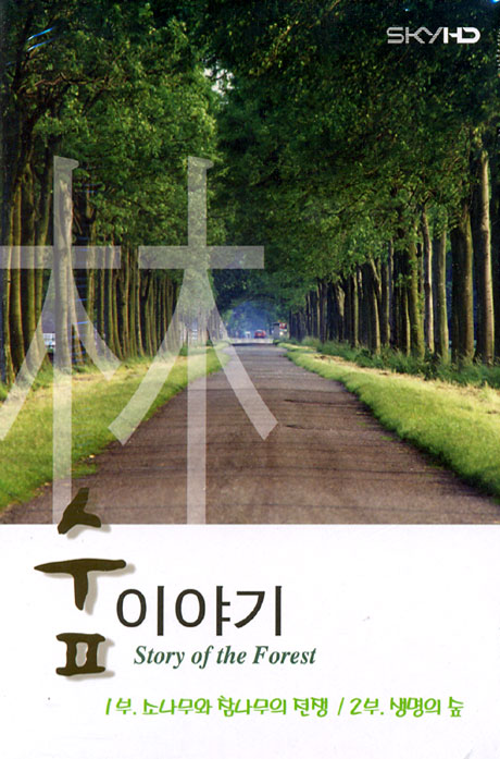 숲이야기