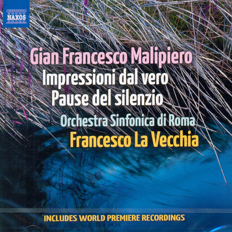 IMPRESSIONI DAL VERO/ FRANCESCO LA VECCHIA