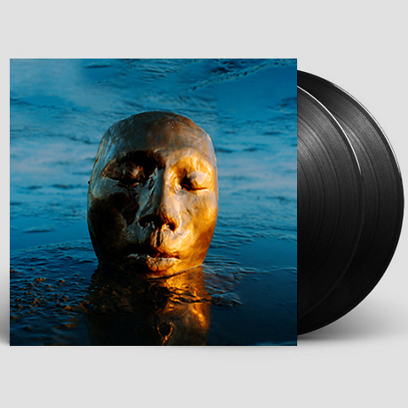 THE MISFIT [180G LP] [한정반]