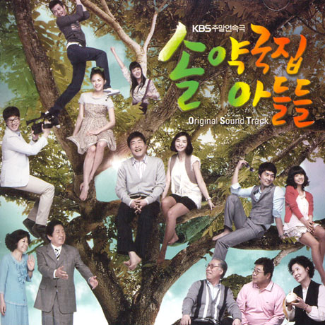 솔약국집 아들들 [KBS 주말연속극]