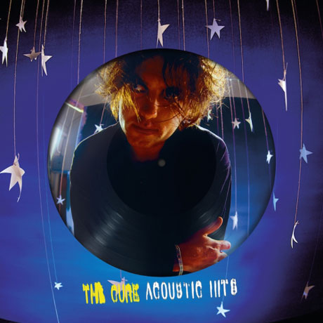 ACOUSTIC HITS [PICTURE DISC LP]