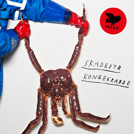 KONGEKRABBE