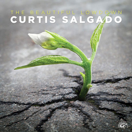 THE BEAUTIFUL LOWDOWN