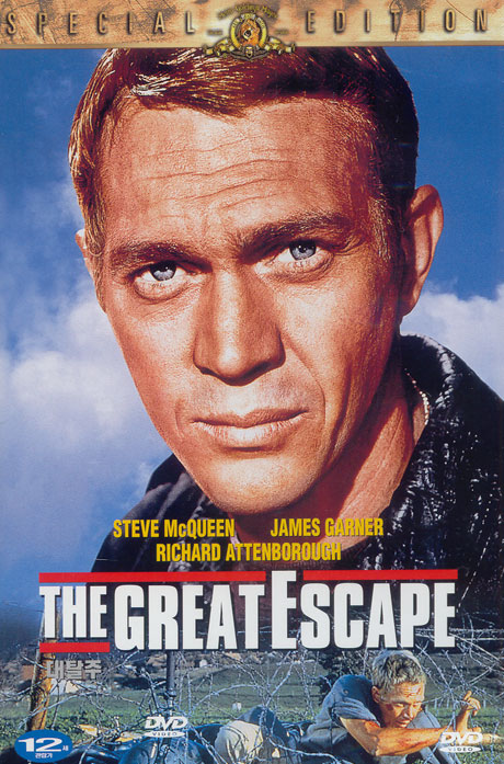 대탈주 S.E [THE GREAT ESCAPE]