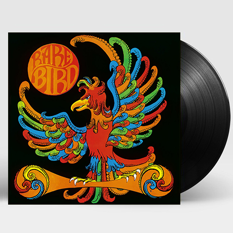 RARE BIRD [LP]