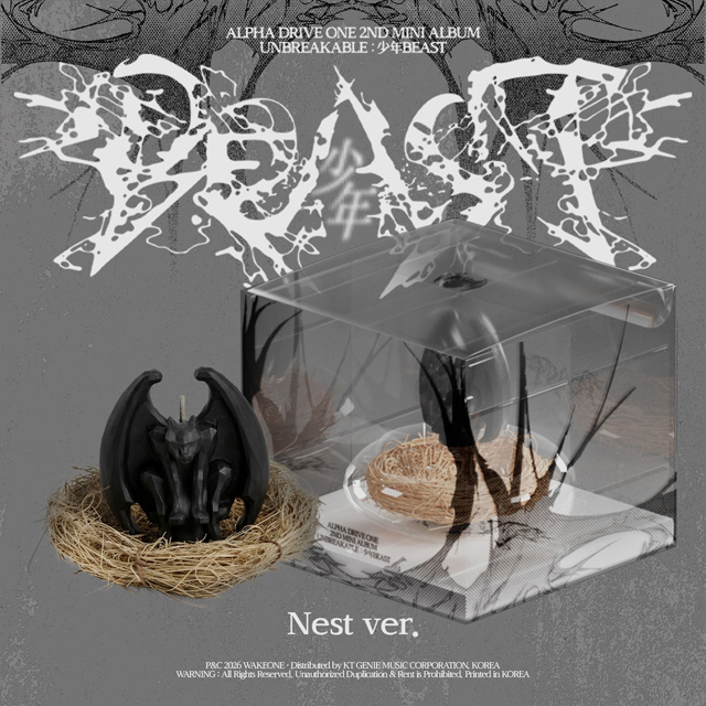 UNBREAKABLE : 少年BEAST [미니 2집] [NEST VER]
