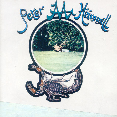 CHAMELEON IN THE SHADOW OF THE NIGHT