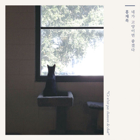 네가 고양이면 좋겠다 [두번째 싱글]