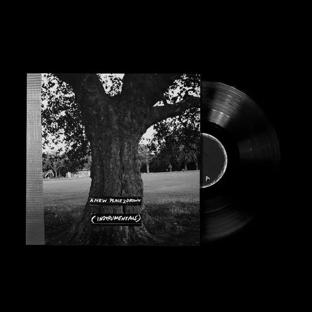 A NEW PLACE 2 DROWN (INSTRUMENTALS) [LP]