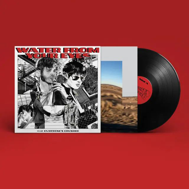 EVERYONE'S CRUSHED [LP]