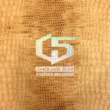 ANOTHER DREAMING [CD+DVD+피크2개] [스페셜에디션]