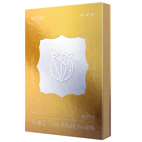 VOICE: THE FUTURE IS NOW [정규 1집] [NOW VER]