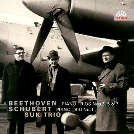 PIANO TRIOS/ SUK TRIO