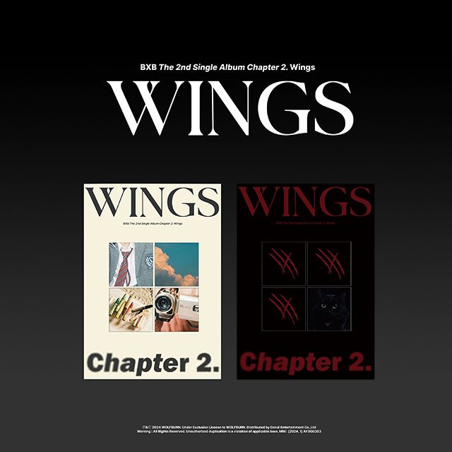 CHAPTER 2. WINGS [2종 세트]