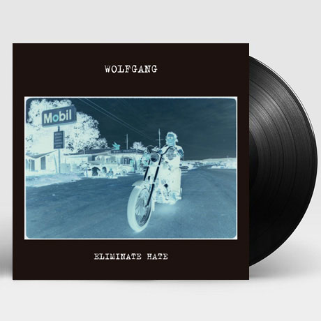 ELIMINATE HATE [LP]