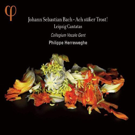 LEIPZIG CANTATAS/ PHILIPPE HERREWEGHE [바흐: 라이프치히 칸타타 - 필립 헤레베헤]
