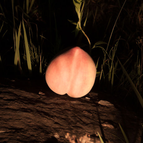 INTO THE NIGHT [한정반]