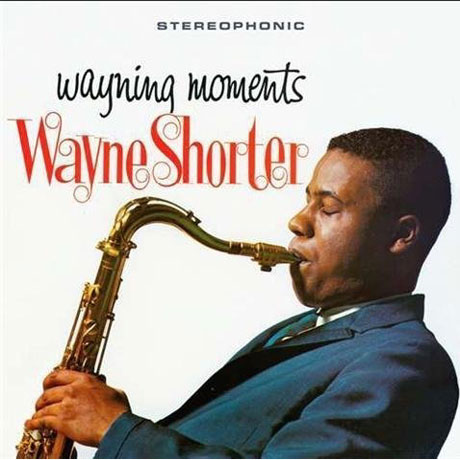 WAYNING MOMENTS [180G LP]