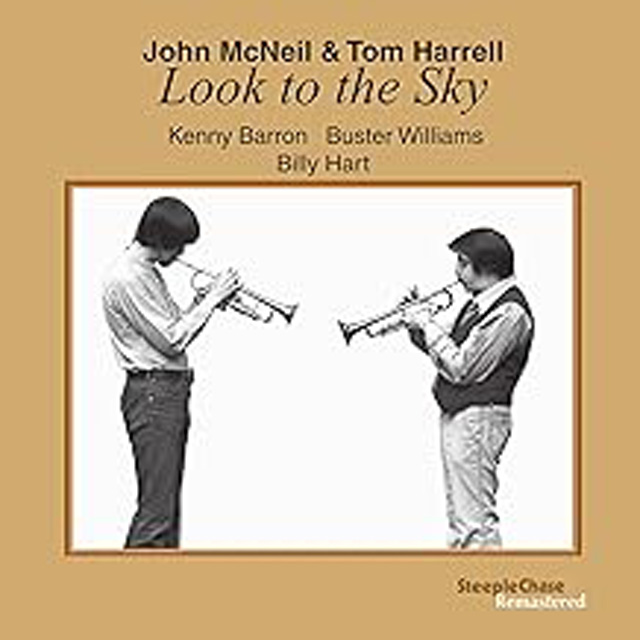 LOOK TO THE SKY [180G LP]