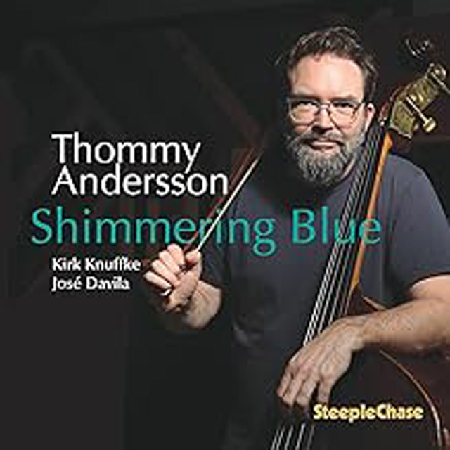 SHIMMERING BLUE