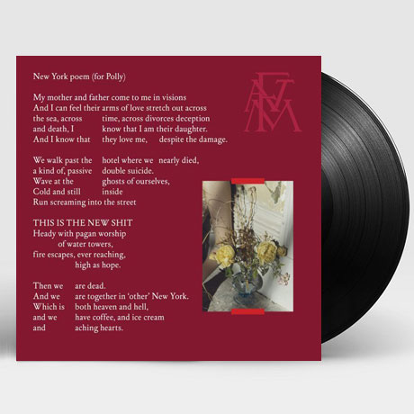 SKY FULL OF SONG B/W NEW YORK PEOM (FOR POLLY) [2018 RSD] [7” SINGLE LP]