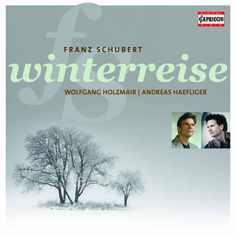 WINTERREISE/ WOLFGANG HOLZMAIR, ANDREAS HAEFLIGER [슈베르트: 겨울나그네]