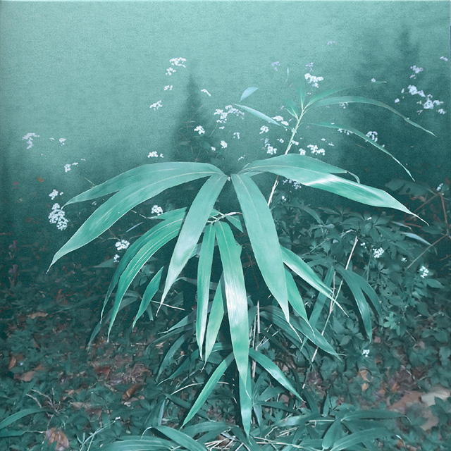속꿈, 속꿈 [180G, SPECIAL MARBLE LP]