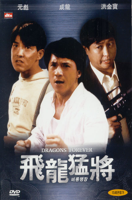 비룡맹장 [飛龍猛將]