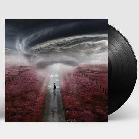 THE STORM [RSD] [LP]