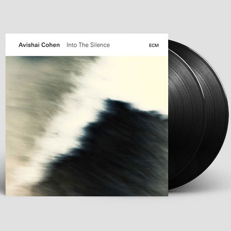 INTO THE SILENCE [LP]