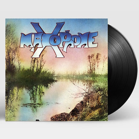 MAXOPHONE [180G LP]