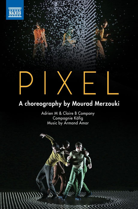PIXEL: A CHOREOGRAPHY MOURAD MERZOUKI [무라드 메르조키: 현대무용 <픽셀>]